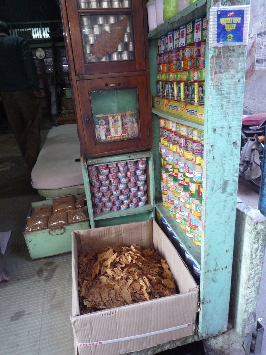 Jodhpur old town25